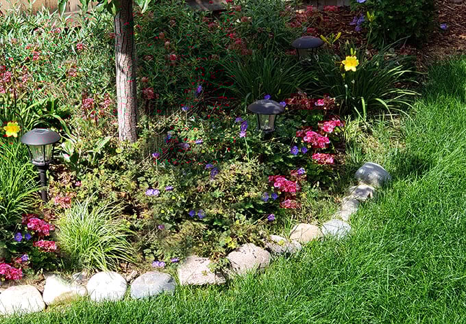 Back Perennial Garden Back Perennial Garden