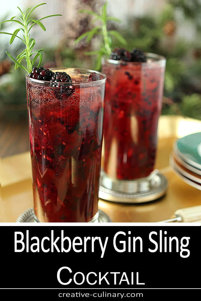 Blackberry Gin Sling Cocktail PIN