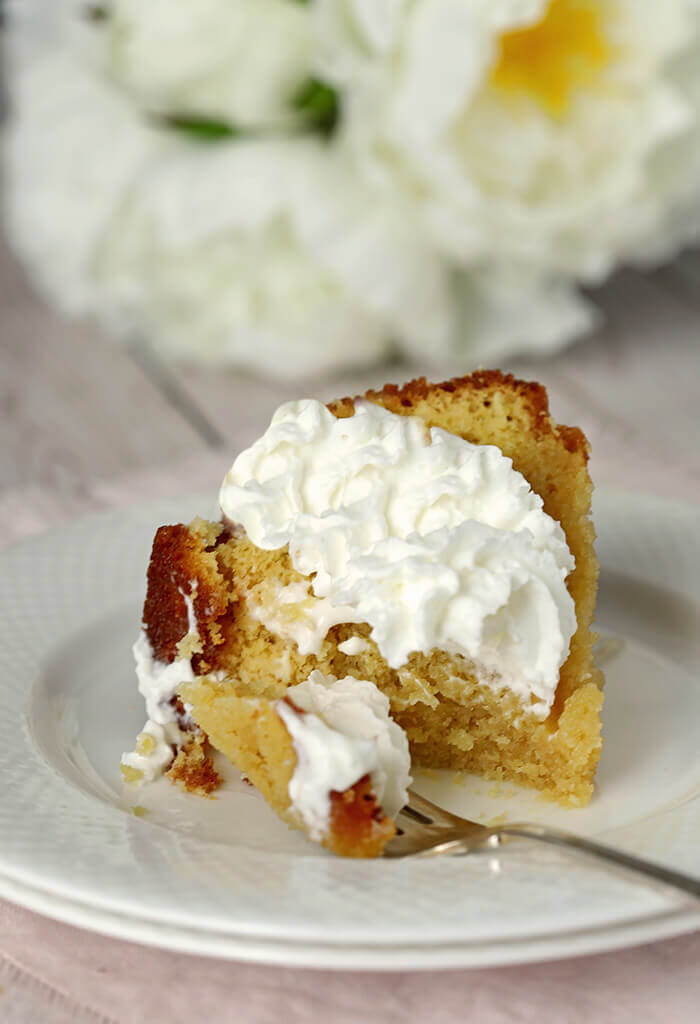 Slice of Rum Cake Slice with Whipped Cream