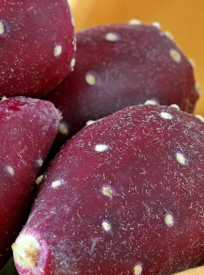 Prickly Pear Cactus Fruit Closeup to See the Stingers